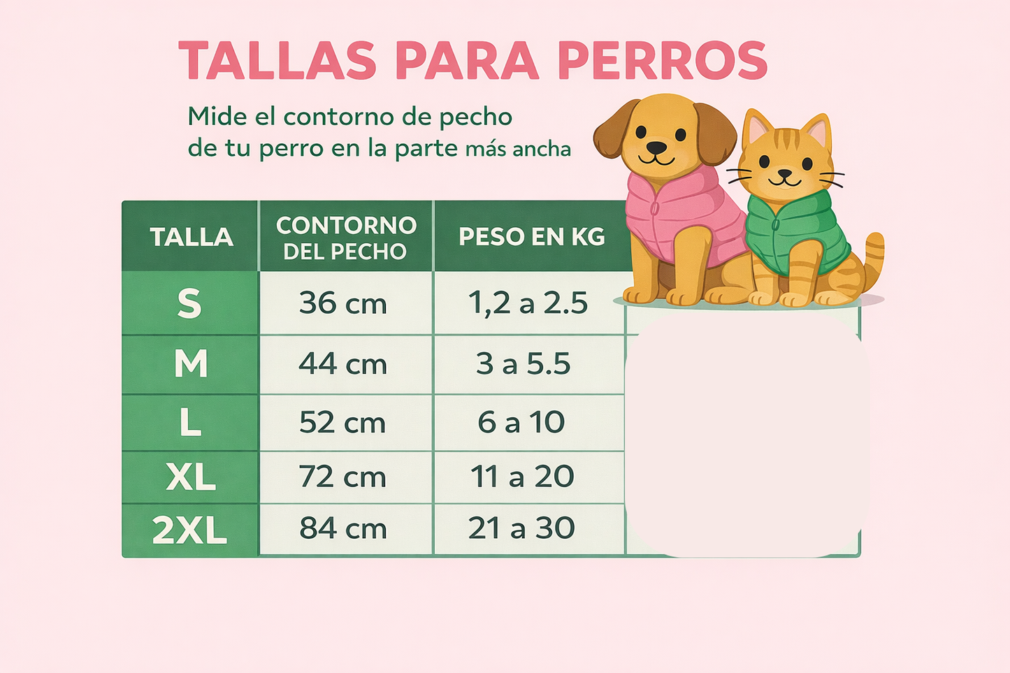 PROMOCION LIMA LEECTRICA+CHAQUETA IMPERMEABLE